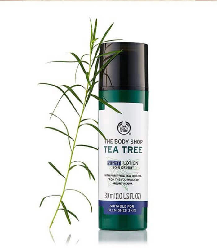 Tea Tree Night Lotion, The Body Shop
