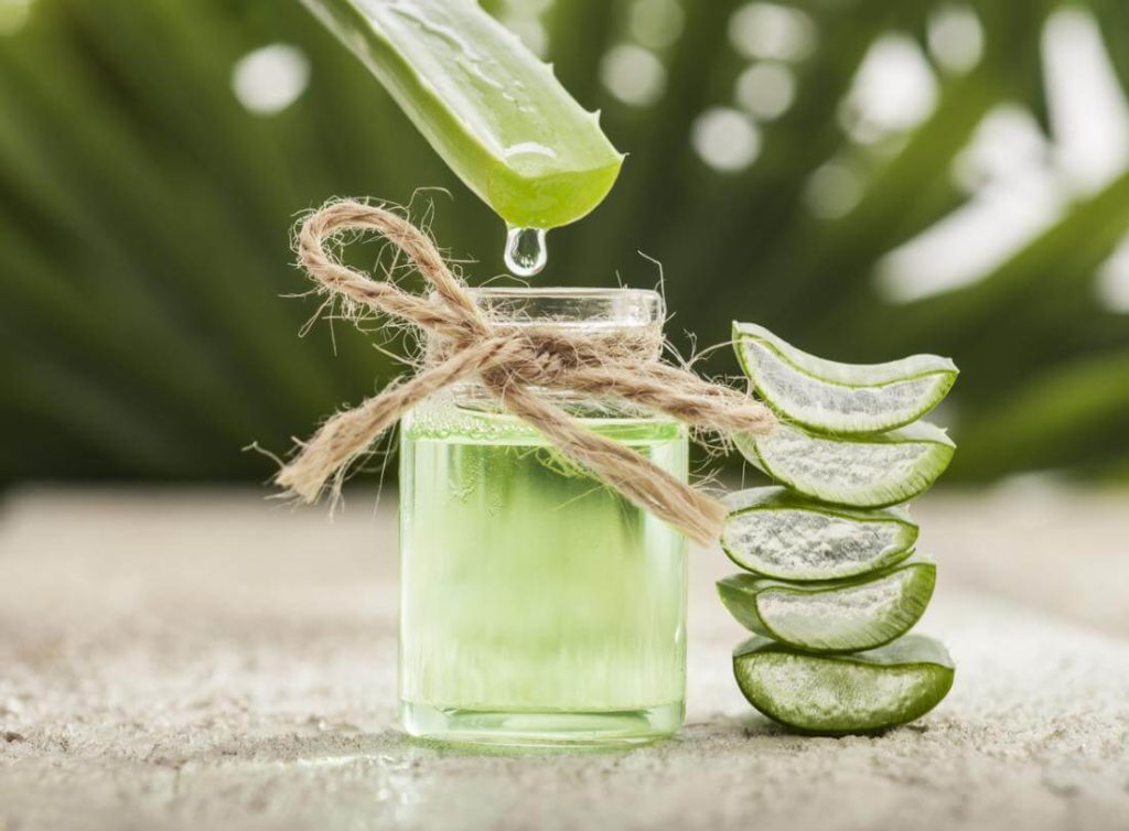 Aloe Vera Gel For Healthy Hair