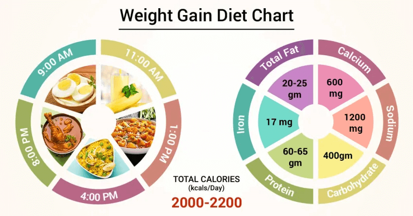 weight gain diet chart