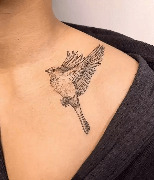 Bird Collarbone Tattoo-10